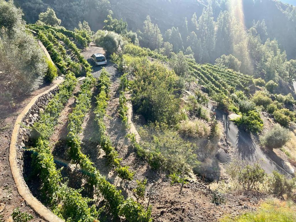 Villa De Taburiente El Paso Zewnętrze zdjęcie